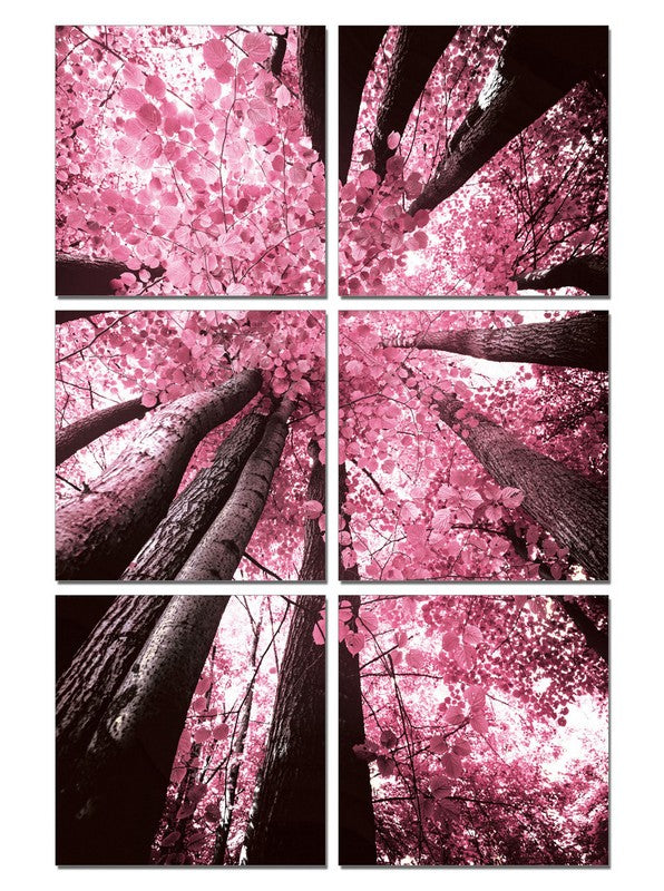 Modrest Blossom Trees 6-Panel Photo on Canvas