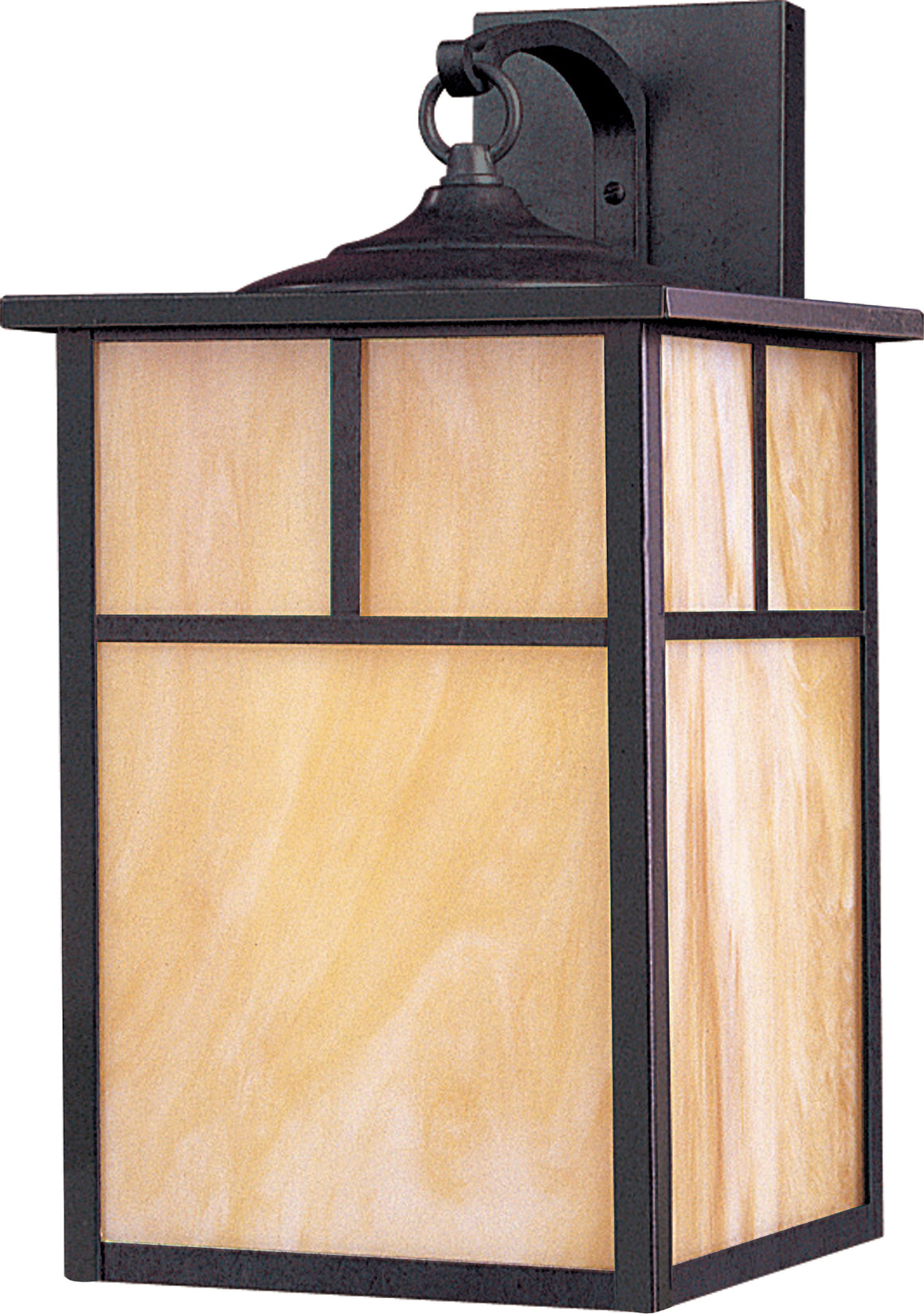 Coldwater LED 1-Light Outdoor Wall Lantern