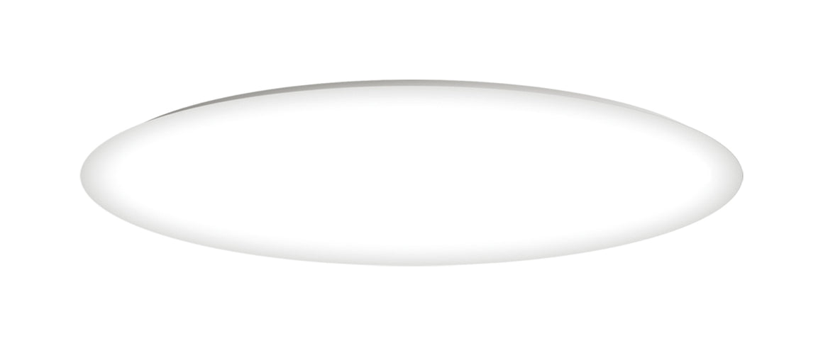 Low Profile EE 1-Light Flush Mount