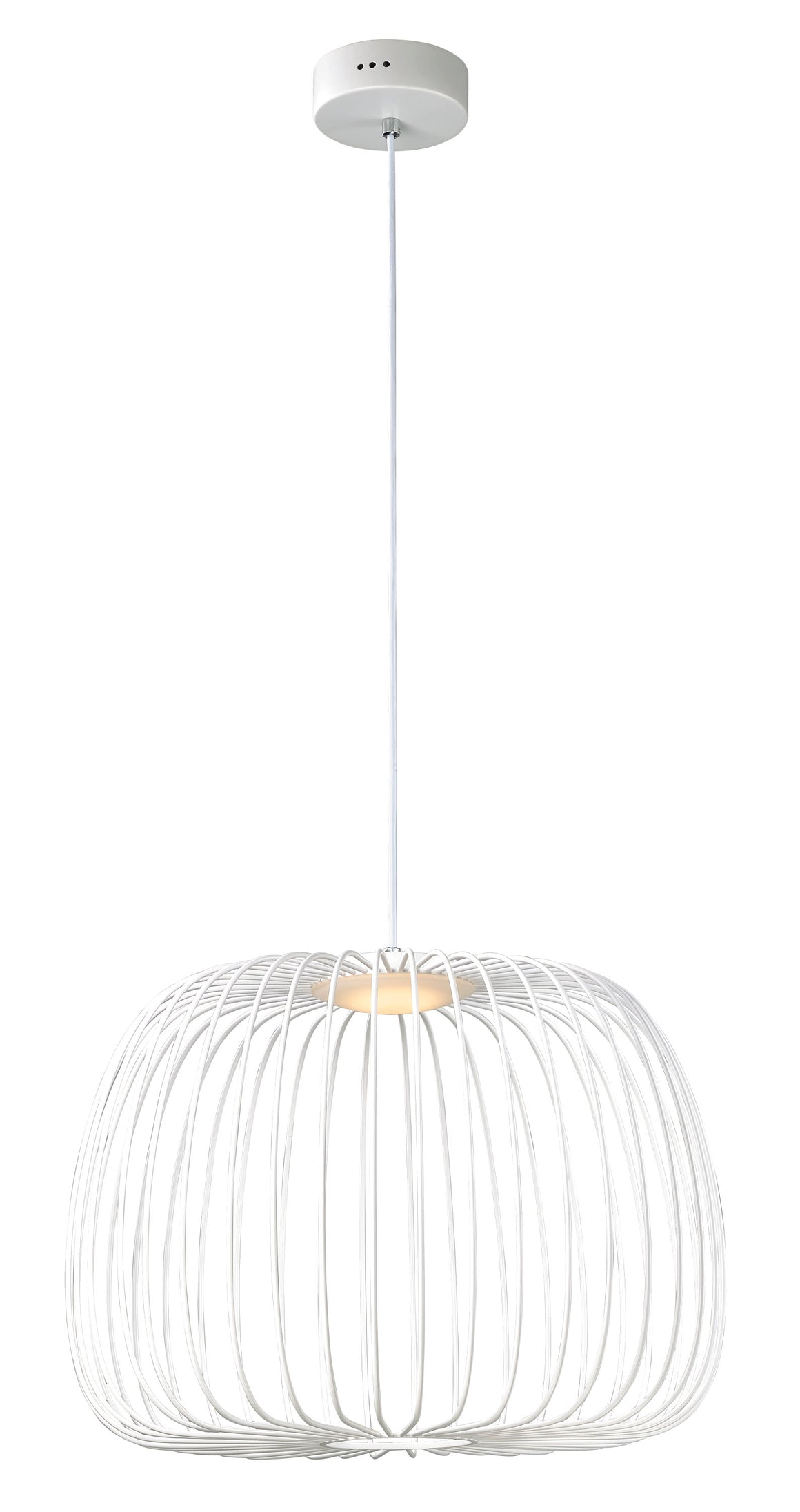 Cage LED Pendant