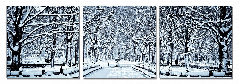 Modrest Winter Trees 3-Panel Photo On Canvas